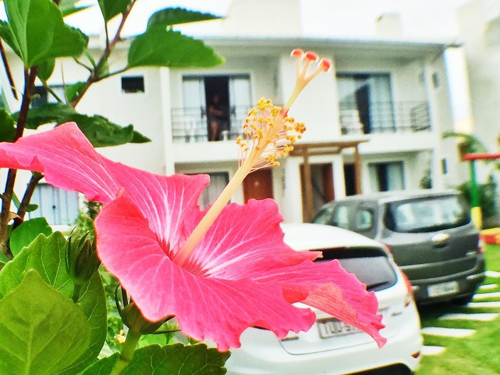 מלון גרופאבה Residencial Colibri מראה חיצוני תמונה